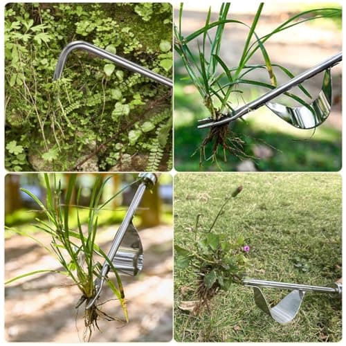 Hand Dibber, Stainless Steel Sow Dibbler with Wood Handle, Garden Hole Punch Dibbler Tool for Planting Seeds & Bulbs (Medium Log Color Hooked)
