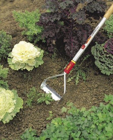 Wolf Garten 3226000 RF-M-Hand Tool Push-Pull Weeder
