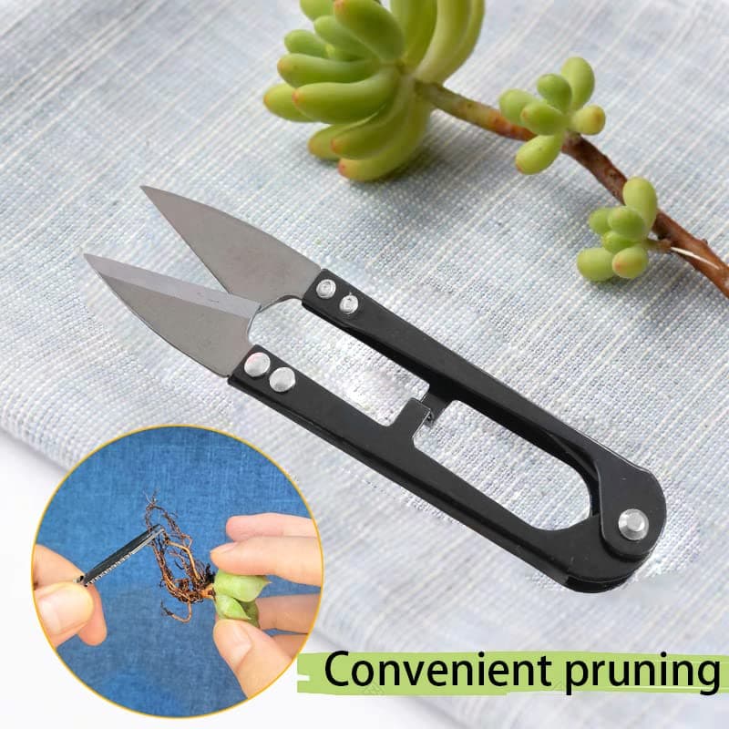 12 Pcs Succulent Tools Set Mini Transplanting Garden Tools Kit for Indoor Gardening Flower Pot Cactus Care