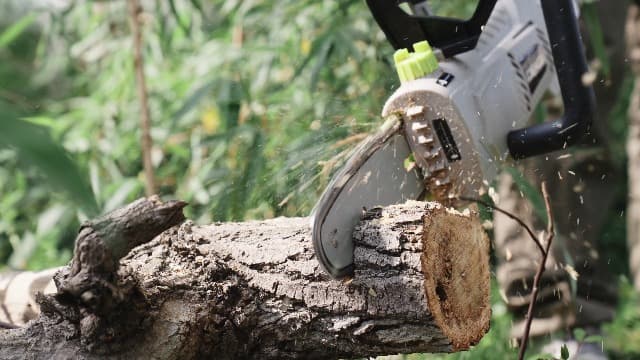 DEKOPRO 8 Amp 10" Electric Pole Saw for Tree Trimming,Corded Electric Chainsaw,Power Chain Saw for Tree Trimming Wood Cutting