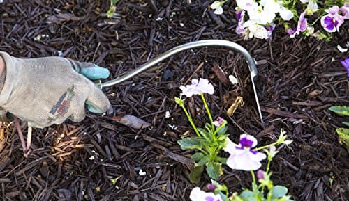 Stainless Steel Hand Onion Hoe