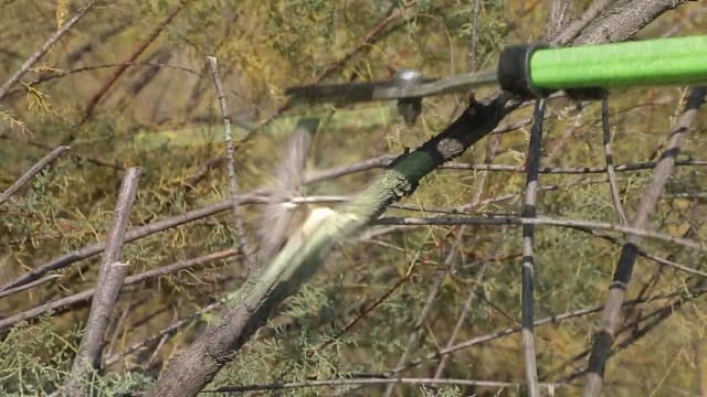 Garden Loppers,28" Branch Cutter with SK5 Carbon Steel Sharp Blade,Loppers for Tree Trimming Heavy Duty with 2.95in Clean Cut Capacity for Shrubs and Branches