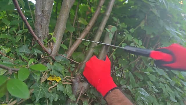 Kimura 7" Pro Folding Pruning Saw - Heavy Duty Japanese SK5 Steel, 180mm Blade, Ergonomic Soft Non-Slip Handle, Lightweight Foldable Saw for Branches, Trimming, Camping, PVC, Hiking, Wood