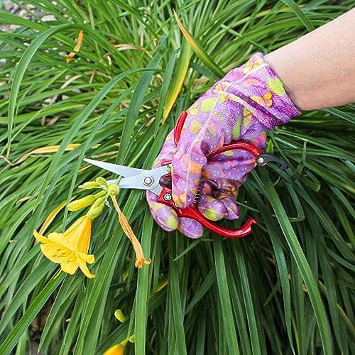 7Penn Garden Pruning Shears - 2pc Straight and Curved Sharp Blade Gardening Hand Tools with Red Ergonomic Grip Handles