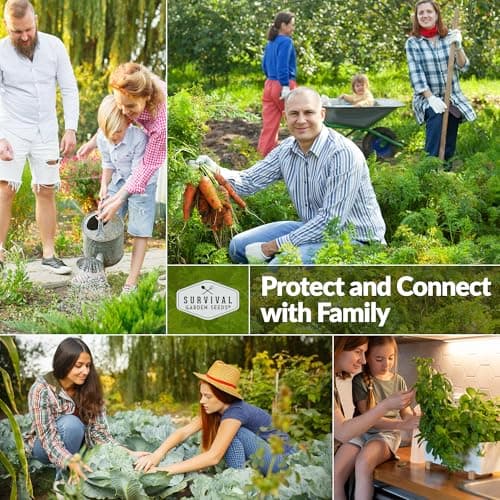 12 Vegetable Seed Variety Pack - Broccoli, Carrot, Basil, Lettuce, Onion, Pepper, Swiss Chard, Tomato, Cucumber, Spinach, Zucchini, Spaghetti Winter Squash - Non-GMO Heirloom - Survival Garden Seeds