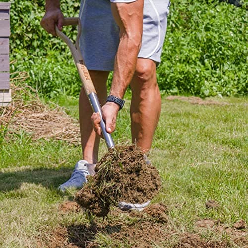 Shovels for Digging, 43’’ Round Spade Heavy Duty Shovel with Wooden D Handle Stainless Steel Snow Shovel Garden Shovel Yard for Transplanting & Outdoor