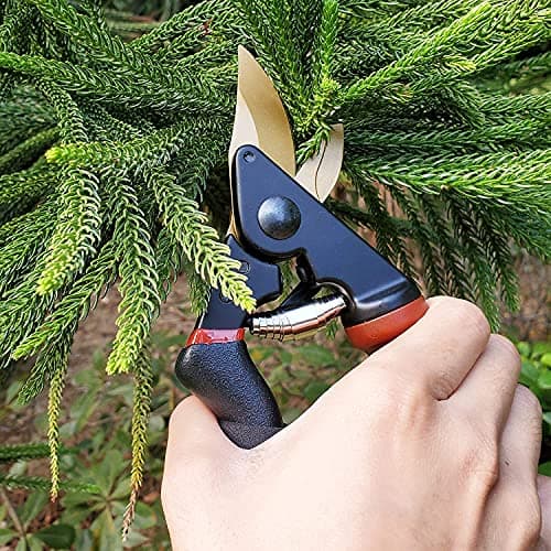 gonicc 8.5" Professional Rotating Bypass Titanium Coated Pruning Shears(GPPS-1014), Secateurs, Scissors, Pruners with Heavy Duty SK5 Blade. Soft Cushion Grip Handle for Everyone.