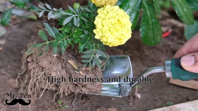Mr. Pen Heavy Duty Stainless Steel Trowel, Garden Shovel, Hand Shovel, Gardening Tool