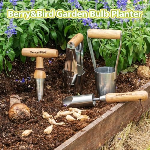 Hand Dibber – Precision Wood Handle Garden Hole Punch Dibbler Tool for Planting Seeds & Bulbs with 6'' Measuring Scale, Bulb Planter for Planting Flowers Tulips Daffodils Dahlias