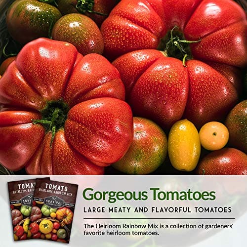 SURVIVAL GARDEN SEEDS Heirloom Rainbow Mix Tomato Seed for Planting - Packet with Instructions to Plant & Grow in Your Home Vegetable Garden - Non-GMO Heirloom Rainbow Tomato Seeds Variety Pack