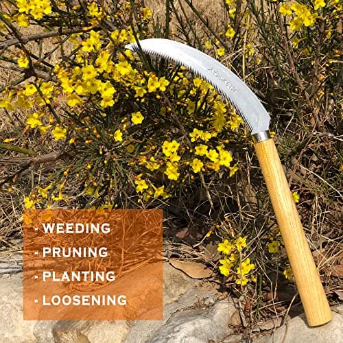 SHANFEEK Grass Sickle with Sawtooth Japanese Weeding Hoe Weeding Tools for Garden High Toughness Stainless Steel with Hard Solid Wood Handle(Yellow)