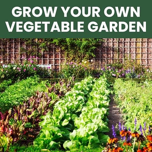 35 Vegetable Seeds | Survival Variety Pack | 2025 Season | Individually Packed Vegetables, Herbs and Fruits | Emergency Seed Vault for Doomsday Prepping | by Family Sown