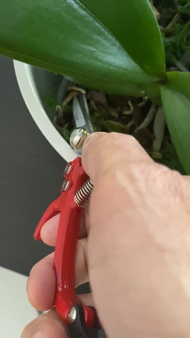 2 - pack Q-yard Pruning Shear, Mini- Extra Sharp Garden Hand Pruners, Easier Cutting, Comfortable Ergonomic, Less Effort - Gardening Scissors for Men & Women