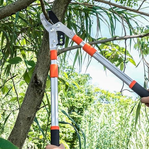 26-40" Extendable Anvil Loppers, Branch Cutter w/2 inch Cutting Capacity, Tree Trimmer w/Compound Action, Heavy Duty Telescopic Tree Pruner, Handle Adjustment, Chop Thick Branches Effortless