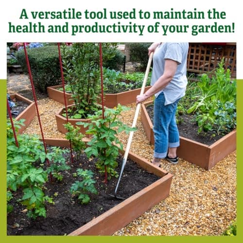 Gardener's Supply Company Supply Lifetime Half-Moon Hoe, Heavy Duty Forged Steel with Ergonomic Hardwood Handle, Gardening Hand Tool for Weeding and Loosening Soil