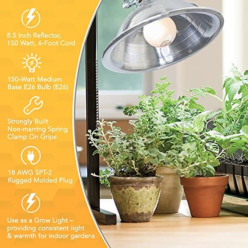 Woods Clamp Lamp Light with Aluminum Reflector; 150W; UL Listed; 6- Foot Cord
