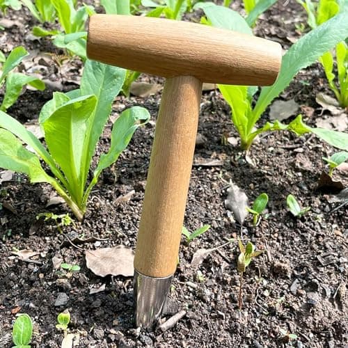 Garden Seed Planter Seed Planter Tool Seed Dibber Manual Garden Planter for Planting Vegetables and Flowers -1pcs