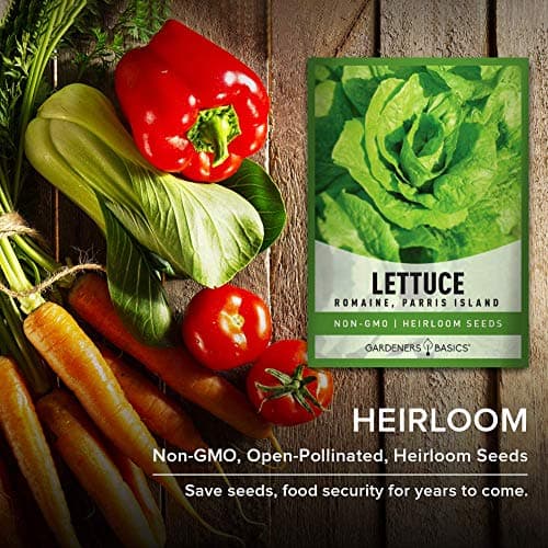 Gardeners Basics, Romaine Lettuce Seeds for Planting - Parris Island Cos Heirloom, Non-GMO Vegetable Variety- 2 Grams Seeds Great for Spring, Summer, Fall, Winter Garden and Hydroponics