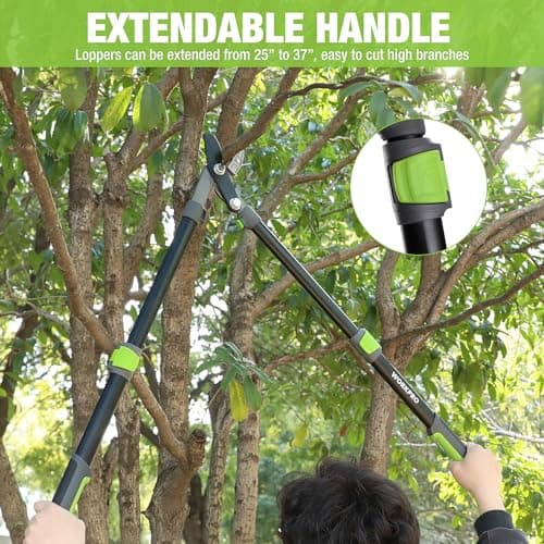 WORKPRO Extendable Anvil Lopper for Gardening, 25-37" Branch Cutter with 1.6" Cutting Capacity, Heavy-Duty Pruning Shear Featuring Gear System for Tree Trimming, Handheld Garden Shear with Sharp Blade