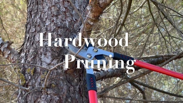 TABOR TOOLS GG12A Anvil Lopper with Compound Action, 30 Inch Tree Trimmer, Thick Branch Cutter with ⌀ 2 Inch Cutting Capacity, Chops Thick Branches with Ease.