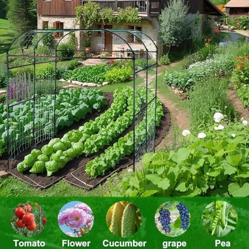 Garden Arch Trellis for Climbing Plants Outdoor, Grape Vine Tomato Bean U Frame Plant Vegetable Support, Cucumber Pergola for Backyard, Black