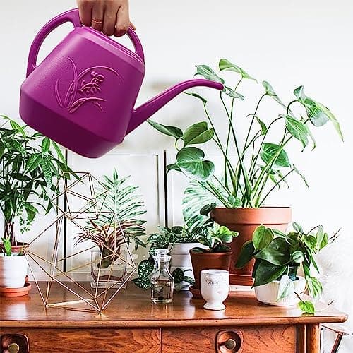 Watering Can - for Home Plant Garden - 1/2 Gallon - Rose Red
