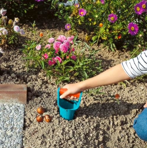 Gardena Bulb Planter - Ideal Accessory for Laying Bulbs with Automatic Release Mechanism and Depth Scale, Made Steel with Duroplast Coating (3412-20)