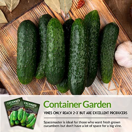 1 Pack Spacemaster Cucumber Seed for Planting - Packet with Instructions to Grow Container Friendly Cucumbers in Your Home Vegetable Garden - Non-GMO Heirloom Variety - Survival Garden Seeds