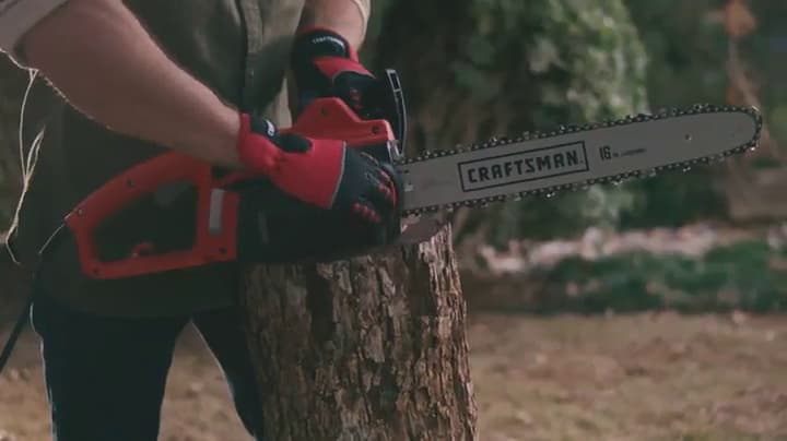 CRAFTSMAN Electric Chainsaw, 16-Inch, 12-Amp (CMECS600)