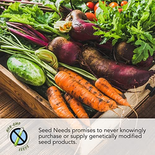Seed Needs Carrot Seeds for Planting Rainbow Carrots - Non-GMO Heirloom & Untreated Veggie Seed to Grow a Home Grown Vegetable Garden in Fall or Spring (1 Pack)