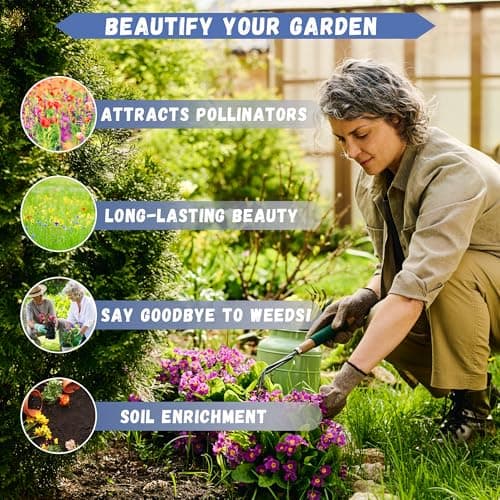 500+ Seed Sweet Parsley Triple Curled Heirloom Seed for Planting-Plant & Grow Sweet Parsley Triple Curled Vegetable in Your Home Non-GMO Garden Outdoor