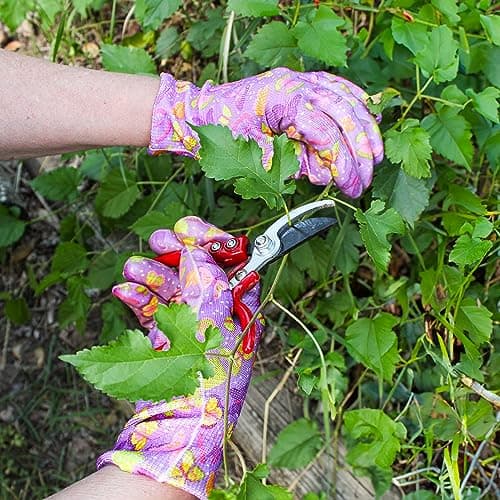 7Penn Garden Pruning Shears - 2pc Straight and Curved Sharp Blade Gardening Hand Tools with Red Ergonomic Grip Handles