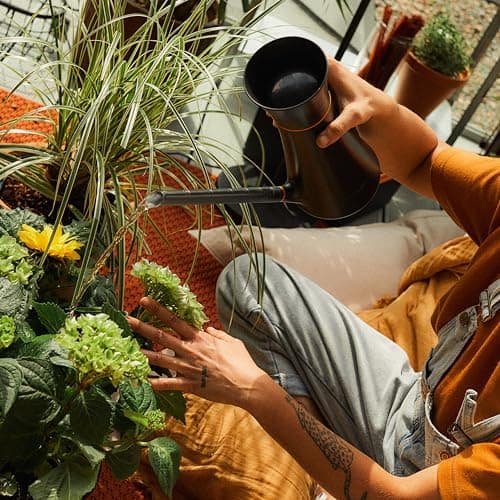 Fiskars Small Watering Can (40 oz) for Indoor Gardening, Water Can for Indoor Plants, Anti-Drip and Removable Nozzle, Made with Recycled Plastic