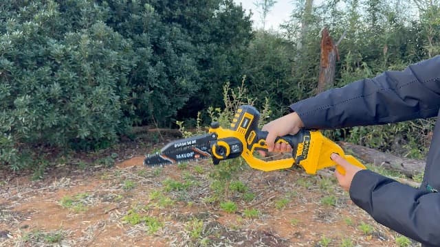 2-IN-1 Cordless 8 Inch Pole Saw & Mini Chainsaw, 21V 2×4.0Ah Battery Powered Polesaw, 15FT Max Reach, Brushless Electric Chain Saw with Extension Pole for Tree Branches Pruning, Wood Cutting