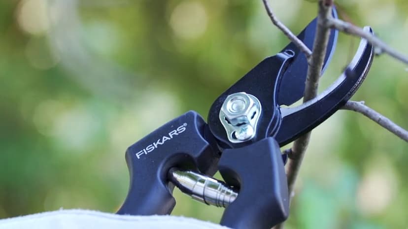 Fiskars Bypass Pruning Shears, 5/8-Inch Cut Capacity Garden Clippers, Gardening Scissors with Sharp, Rust Resistant Steel Blade
