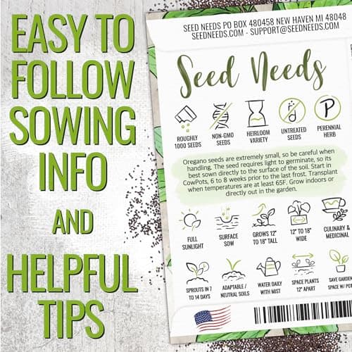 Seed Needs Oregano Seeds for Planting Italian Herbs - Non-GMO, Heirloom & Untreated Culinary Herb - Grow Indoors or Outdoors for a Kitchen Garden (1 Pack)