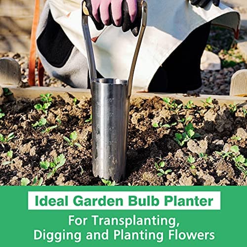 Garden Bulb Planter with 6 inches Depth Mark, Garden Bulb Transplanter Tool with Wooden Handle, Stainless Steel Soil Release Tool for Transplanting Digging Planting Flowers