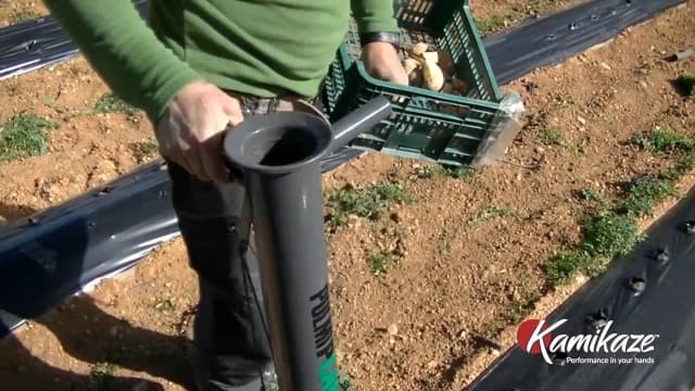 Bulb Planter Tool for Vegetables and Bulbs– Manual Seedling Transplanter with Sharp and Reinforced Tip – Durable and Stainless Steel Gardening Tool for Soft Loam Soil – Easy Garden Planting
