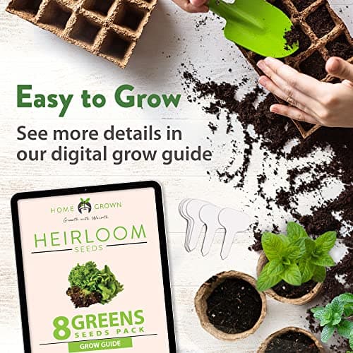HOME GROWN 8 Lettuce & Salad Greens Seed Vault - 4,000+ 𝗡𝗢𝗡-𝗚𝗠𝗢, 𝗨𝗦𝗔-𝗦𝗢𝗨𝗥𝗖𝗘𝗗 Vegetable Seeds for Outdoors or Indoors - Seeds for Planting Hydroponic Garden