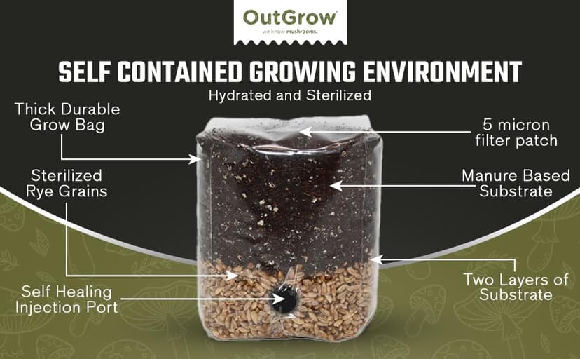 Mini All in One Mushroom Grow Bag