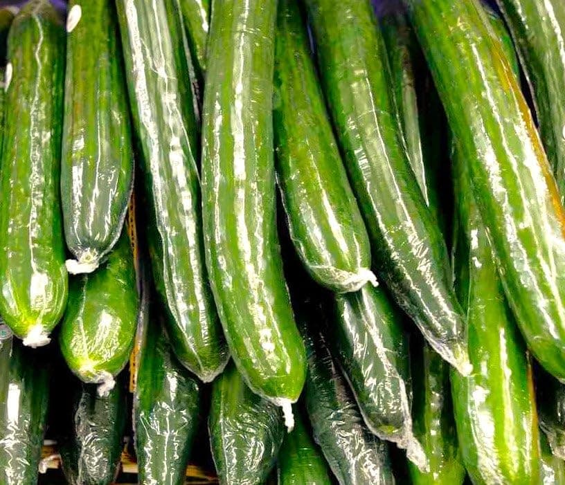 English Telegraph Burpless Cucumber (English Cucumber) Seeds - 30+ Count - for 2025 Planting Hothouse Cucumbers Crisp European Near-Seedless Long Heirloom Vegetable Grow Your Own Home