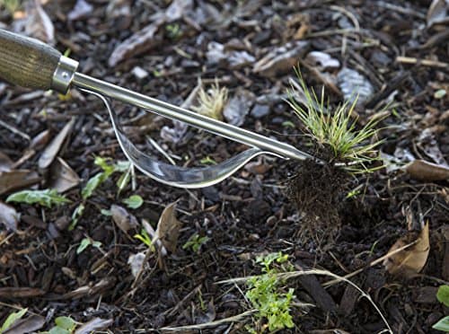 Stainless Steel Daisy Grubber