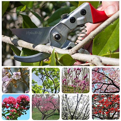 Pruning Shears with Stainless SK5 Steel Blades+Straight Tip Gardening Shears Garden Shears Garden Clippers Florist Scissors Hand Pruners Garden Tools Gardening Tools Set,Red