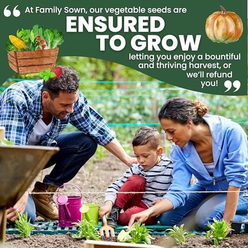 35 Vegetable Seeds | Survival Variety Pack | 2025 Season | Individually Packed Vegetables, Herbs and Fruits | Emergency Seed Vault for Doomsday Prepping | by Family Sown