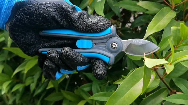 CYRUS 6” Gardening Scissors Hand Pruner Pruning Shear with Curved Stainless Steel Blades Plant Shears Garden Clippers Handheld