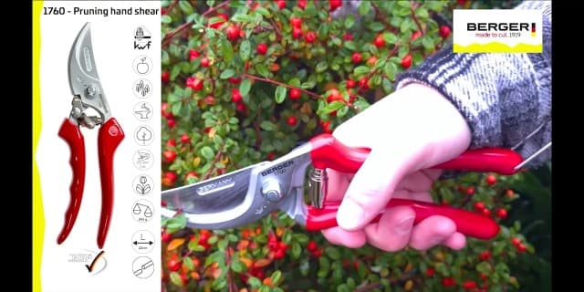 Professional Pruning Shear, Chrome-Coated Straight Blade, Forged Steel Body, Sap Groove to Prevent Sticking, Wire Cutting Notch, 1760