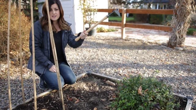 DeWit Gardener's Supply Company Lifetime Raised Bed Cultivator & Long-Handled Garden Hoe | High Carbon Boron Steel Gardening Tool - 18" Handle