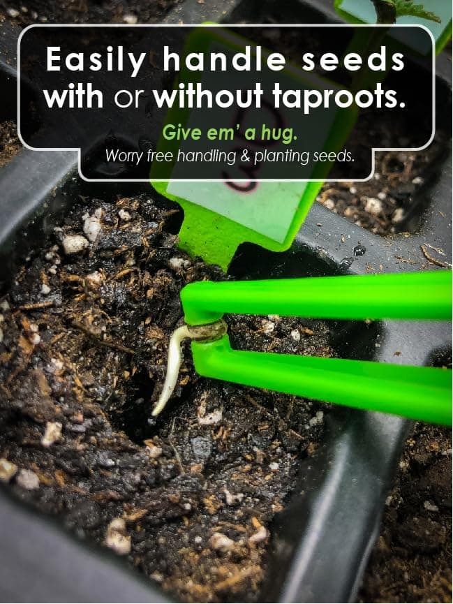 Cannakan™ HUGGERS™ Cupped Seed Tweezers Featuring a Dibber End for Planting Seeds.