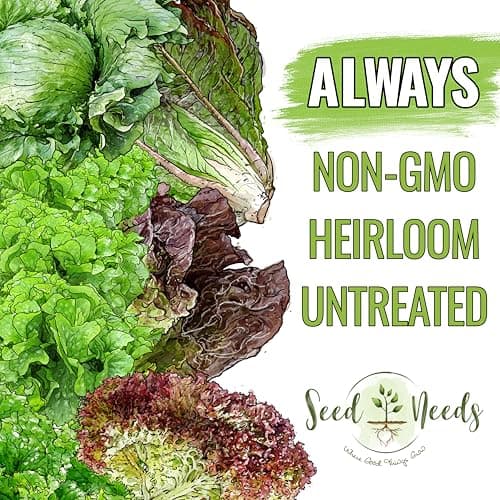 Seed Needs Lettuce Seeds for Planting - Non-GMO Heirloom & Untreated - Grow a Home Grown Outdoor Garden or an Indoor Hydroponics Garden - Homestead Sampler Kit (14 Packs)