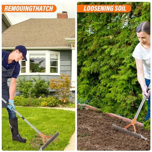 62" Adjustable Thatch Rake - 19-Tine Lawn Dethatcher with Nickel Steel Tines, Heavy Duty Ergonomic Handle for Spring Lawn Care, Soil Aeration & Yard Cleanup&Turf Renovation (Silver)